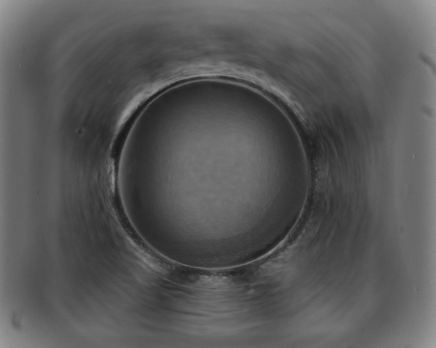 X0000092111509200709121608