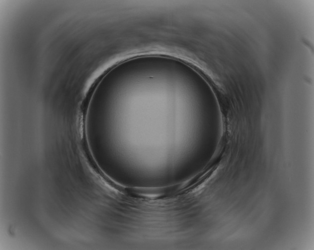 X0000092111510200709121608