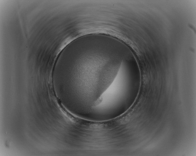 X0000092111521200709121608