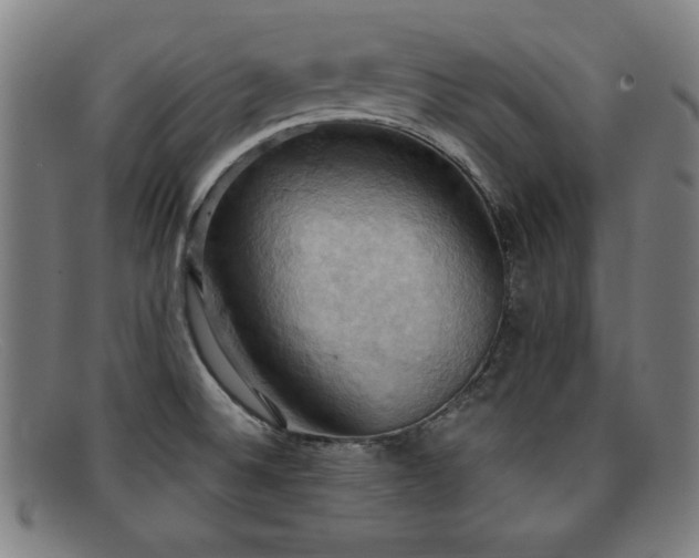 X0000092111524200709121608