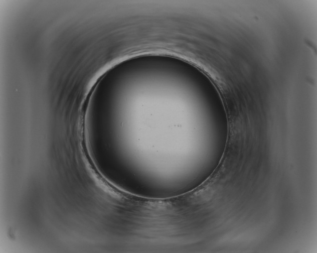 X0000092111526200709121608