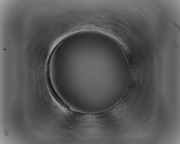 X0000092111527200709121608