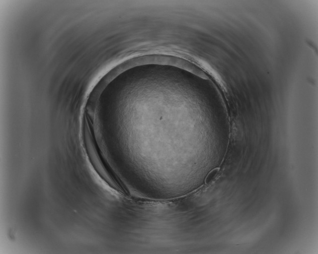 X0000092111528200709121608