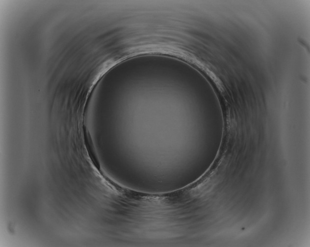 X0000092111529200709121608