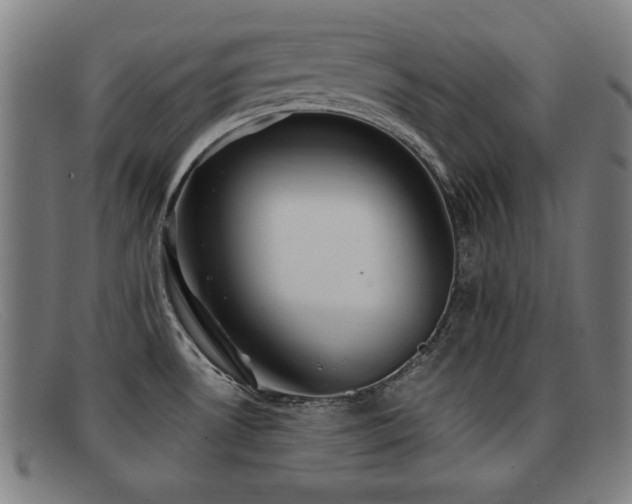 X0000092111530200709121608