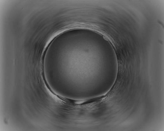 X0000092111531200709121608