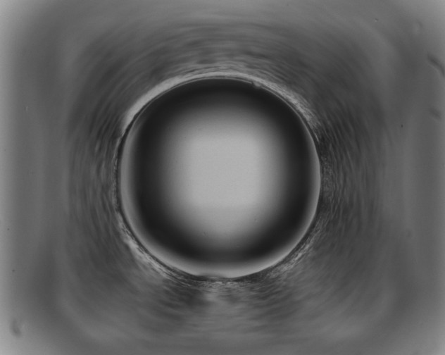 X0000092111534200709121608