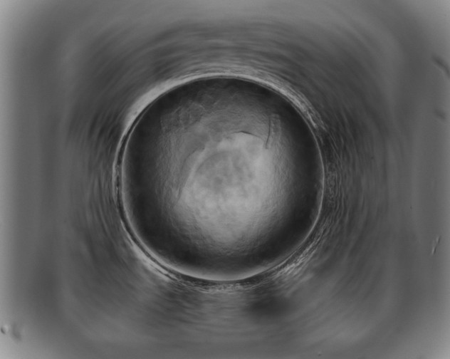 X0000092111535200709121608