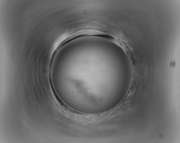 X0000092110003200709191337