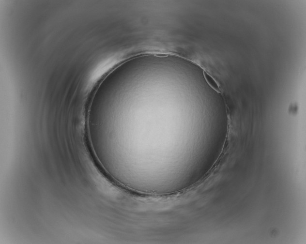 X0000092110005200709191337