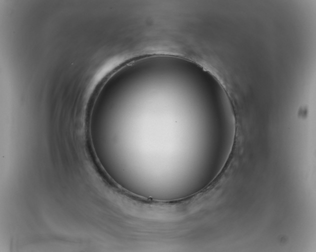 X0000092110008200709191337