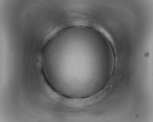 X0000092110009200709191337