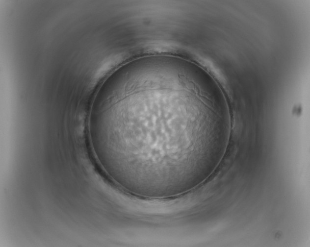 X0000092110010200709191337