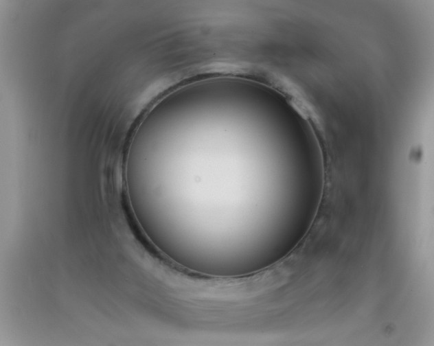 X0000092110011200709191337