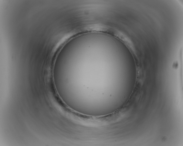 X0000092110012200709191337