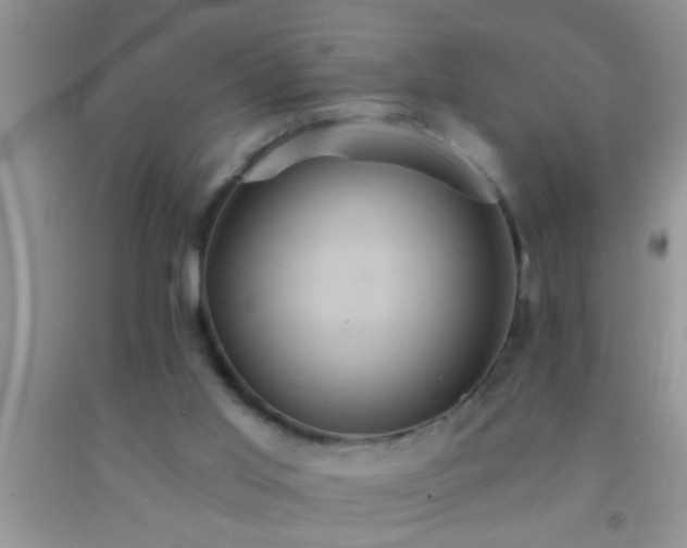 X0000092110013200709191337