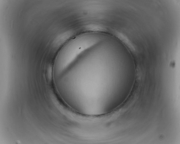 X0000092110014200709191337