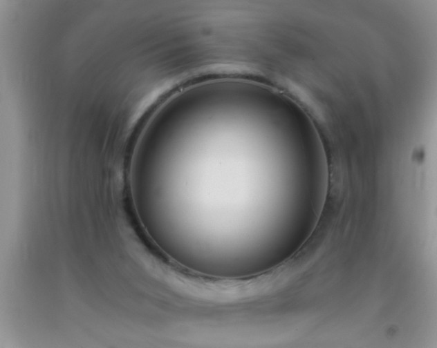 X0000092110015200709191337