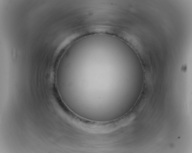 X0000092110016200709191337