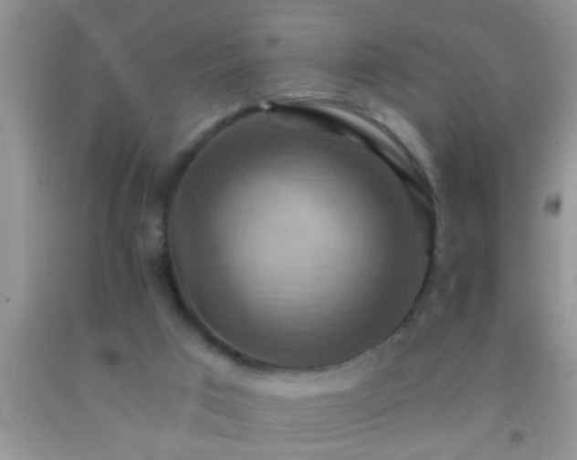 X0000092110017200709191337