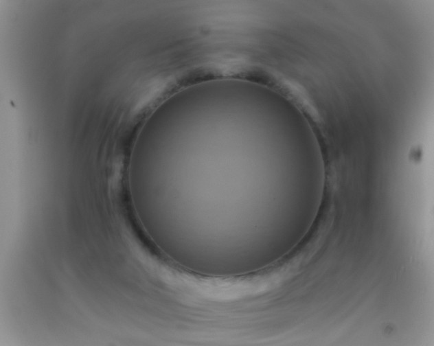 X0000092110018200709191337