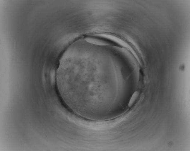 X0000092110019200709191337