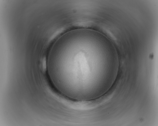 X0000092110020200709191337