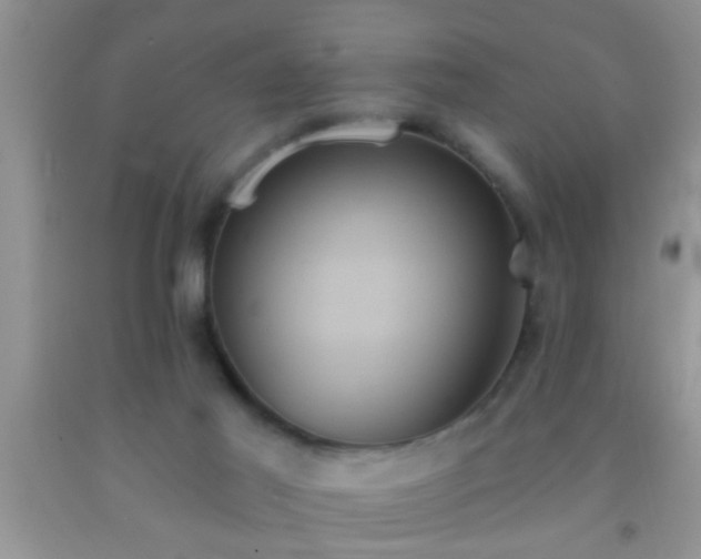 X0000092110021200709191337