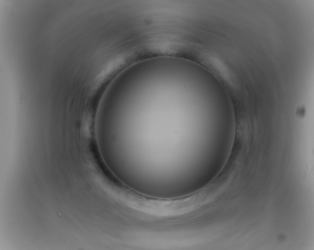 X0000092110023200709191337