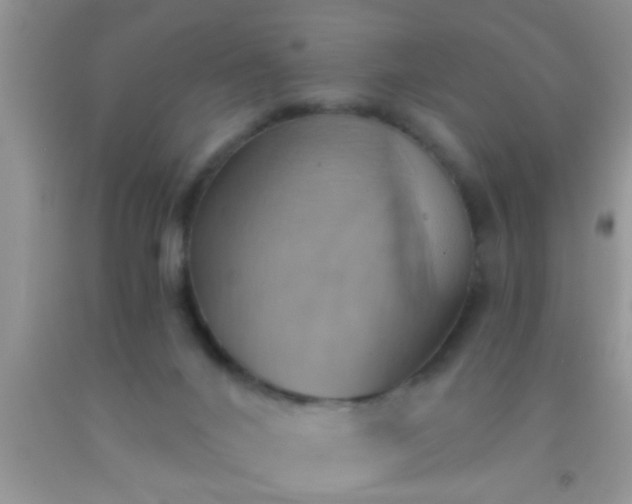 X0000092110024200709191337