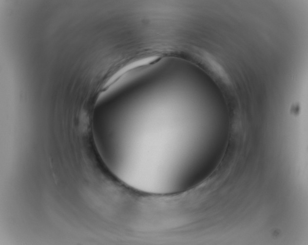 X0000092110025200709191337