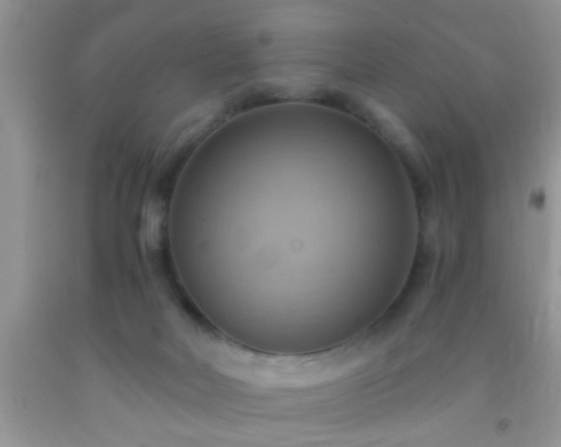 X0000092110026200709191337