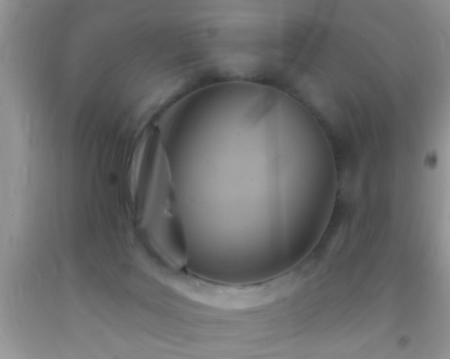 X0000092110027200709191337