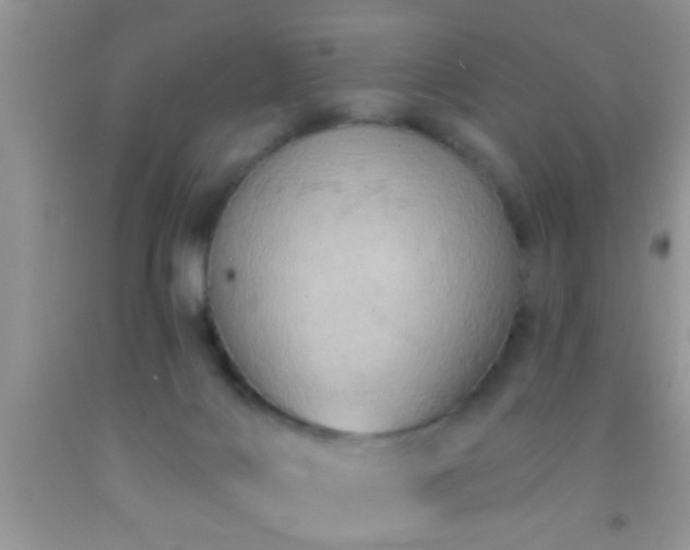 X0000092110028200709191337