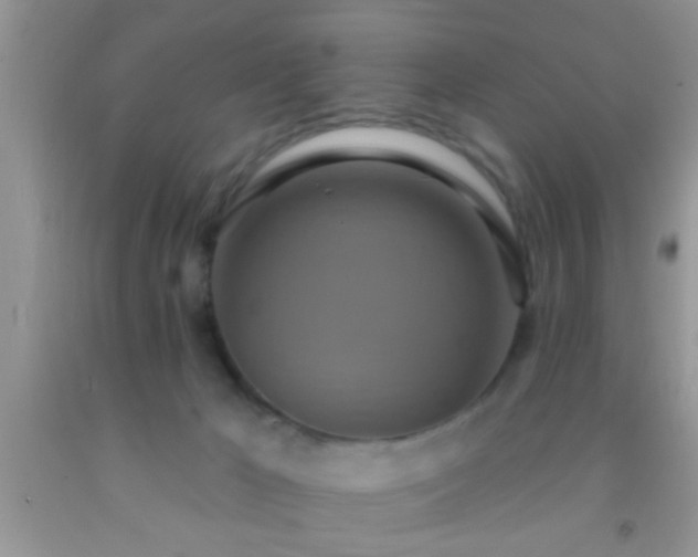 X0000092110029200709191337