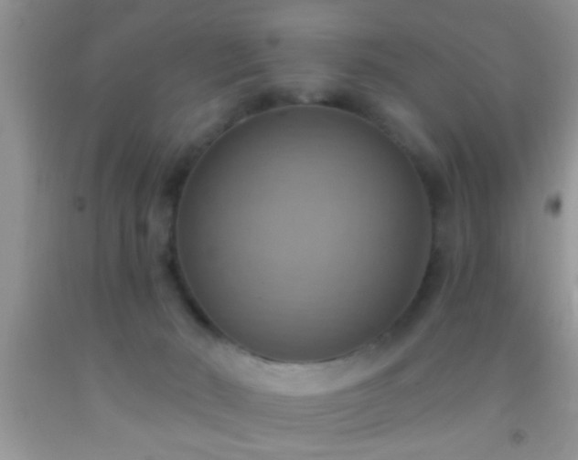 X0000092110030200709191337