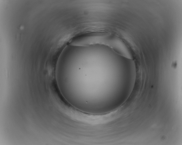 X0000092110031200709191337