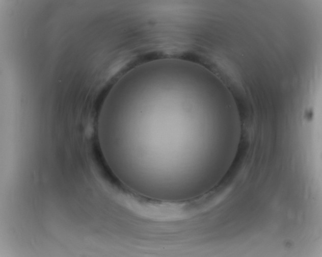 X0000092110032200709191337