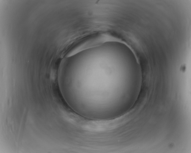 X0000092110033200709191337