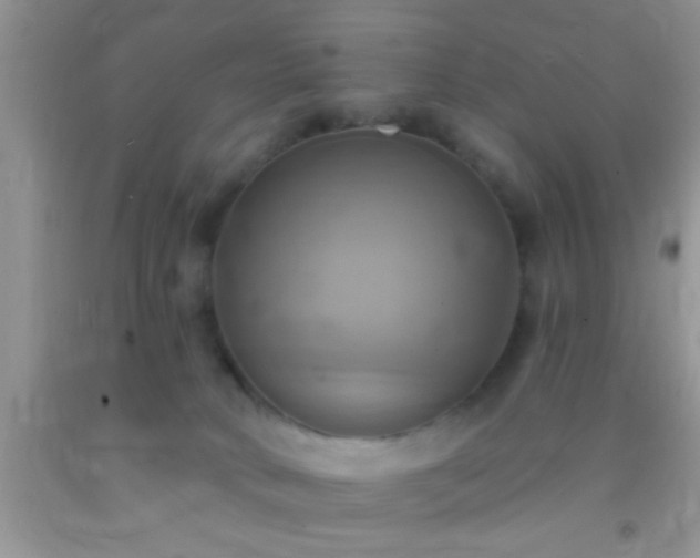 X0000092110034200709191337