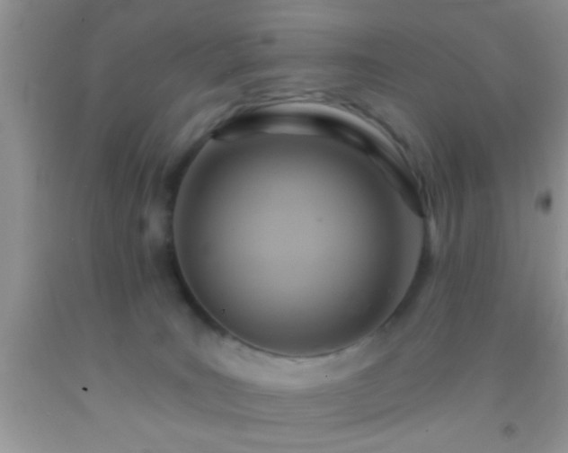 X0000092110035200709191337