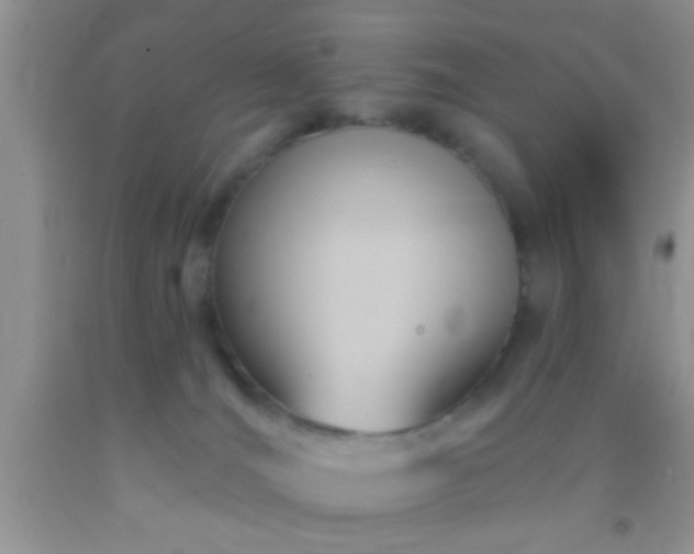 X0000092110036200709191337