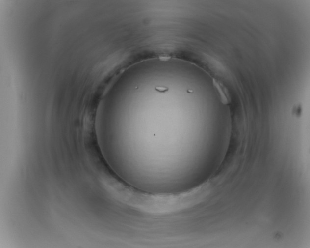 X0000092110037200709191337