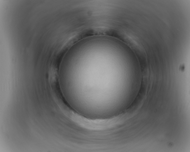 X0000092110038200709191337