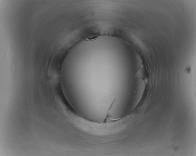 X0000092110039200709191337