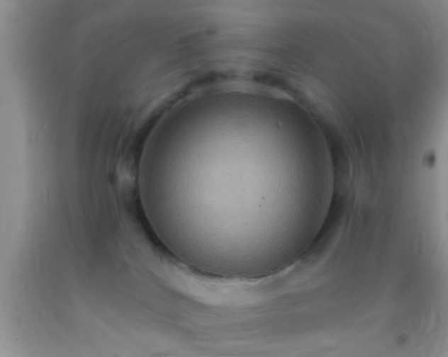 X0000092110040200709191337