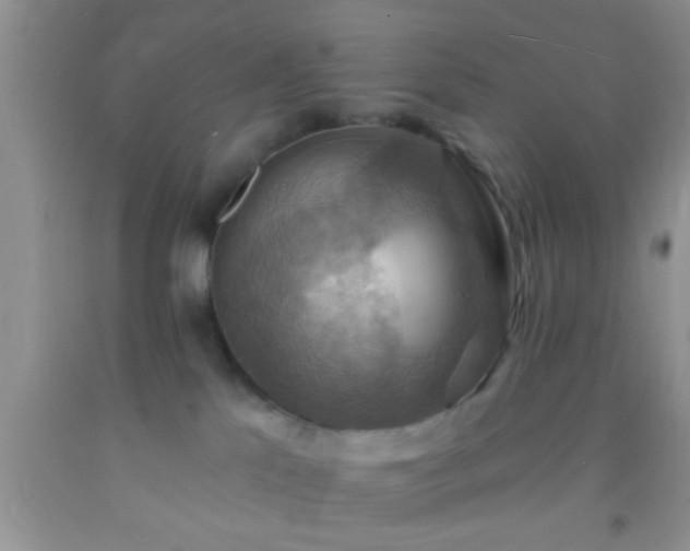 X0000092110041200709191337