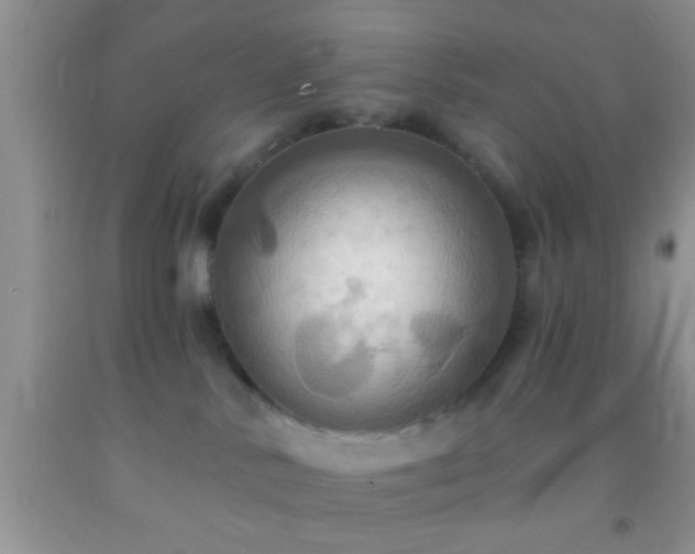 X0000092110042200709191337