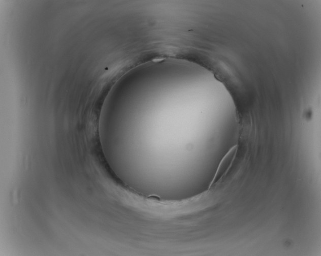 X0000092110043200709191337