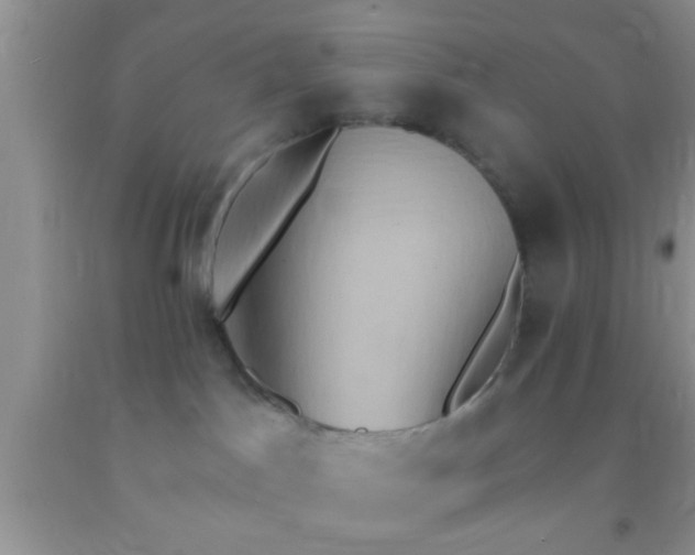 X0000092110045200709191337